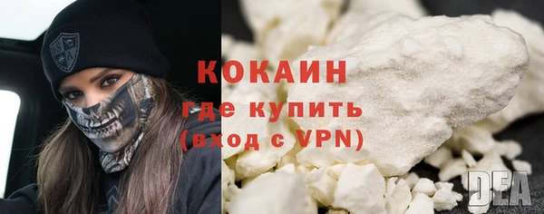 стаф Дмитриев