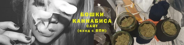 стаф Дмитриев
