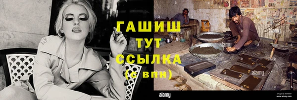 стаф Дмитриев