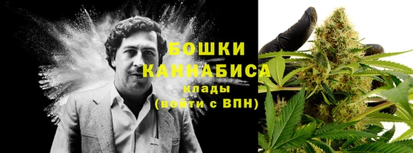 стаф Дмитриев