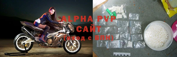 стаф Дмитриев
