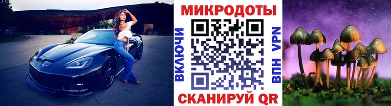 Купить  Новосибирск  Галлюциногенные грибы мухоморы 